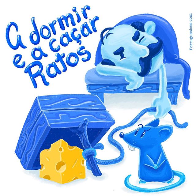 a dormir e a caçar ratos